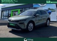 SKODA ELROQ 286 CH BATTERIE 85 Clever