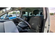 CITROEN BERLINGO MULTISPACE BLUEHDI 100 S&S BVM5 Shine