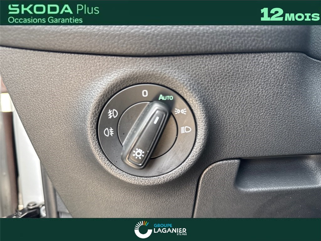 SKODA KODIAQ 2.0 TDI 150 SCR DSG7 7PL Business