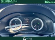 SKODA KODIAQ 2.0 TDI 150 SCR DSG7 7PL Business