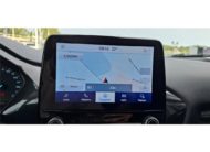 FORD PUMA 1.0 FLEXIFUEL 125 CH MHEV S&S BVM6 Titanium