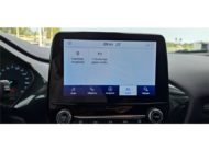 FORD PUMA 1.0 FLEXIFUEL 125 CH MHEV S&S BVM6 Titanium