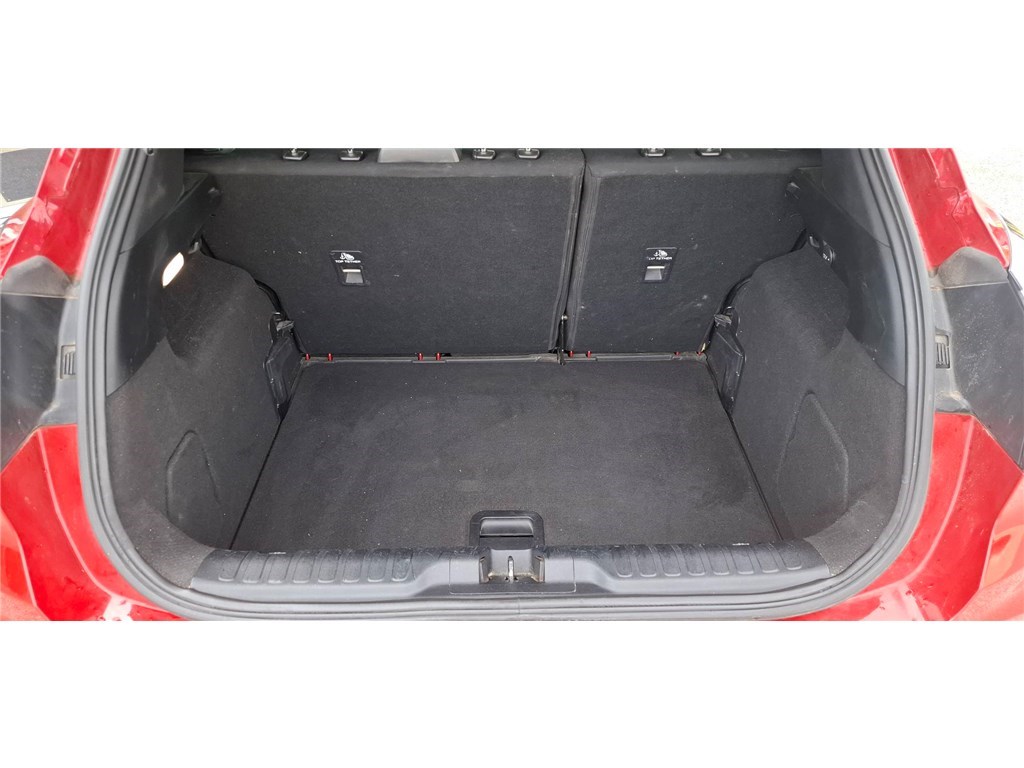 FORD PUMA 1.0 FLEXIFUEL 125 CH MHEV S&S BVM6 Titanium