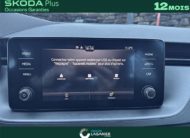 SKODA KAMIQ AMBITION 1.0 TSI EVO 110CH DSG7 1.0 TSI EVO 110 CH DSG7 Ambition