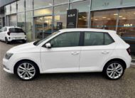 SKODA FABIA 1.2 TSI 110 CH GREENTEC DSG7 Style