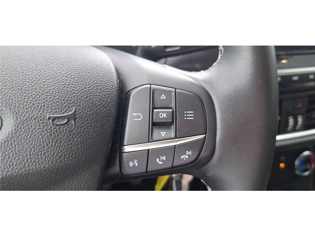 FORD PUMA 1.0 FLEXIFUEL 125 CH MHEV S&S BVM6 Titanium