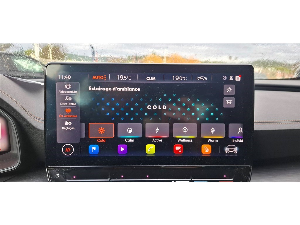 CUPRA FORMENTOR 2.0 TDI 150 CH DSG7 4DRIVE Business Edition