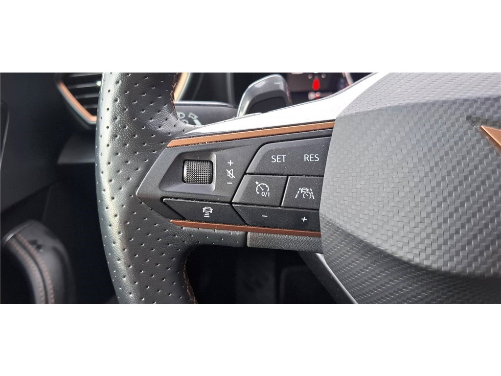 CUPRA FORMENTOR 2.0 TDI 150 CH DSG7 4DRIVE Business Edition