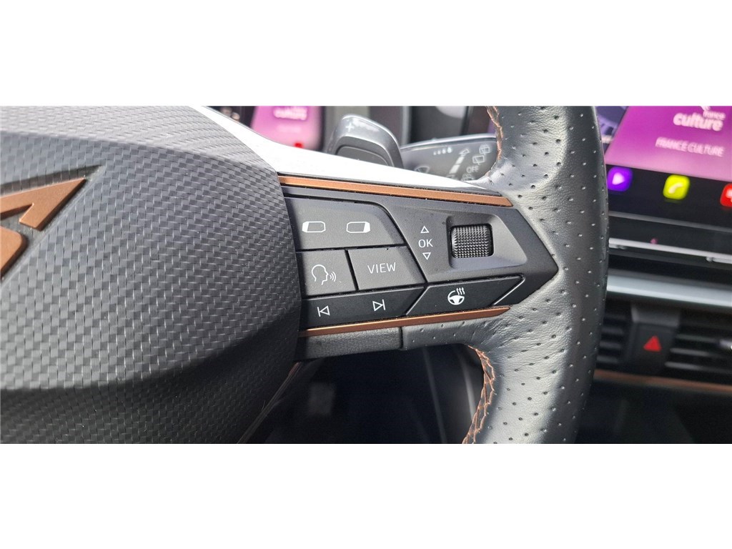 CUPRA FORMENTOR 2.0 TDI 150 CH DSG7 4DRIVE Business Edition