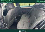 SKODA OCTAVIA 1.6 TDI 116 CH CR FAP DSG7 Drive