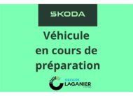 SKODA KAMIQ 1.0 TSI EVO 2 116 CH BVM6 Selection