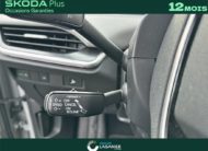 SKODA ELROQ 286 CH BATTERIE 85 Clever