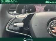SKODA KAMIQ 1.0 TSI EVO 110 CH DSG7 Business
