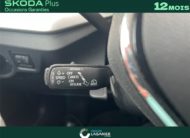 SKODA KAMIQ 1.0 TSI EVO 110 CH DSG7 Business
