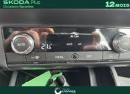SKODA KAMIQ 1.0 TSI EVO 110 CH DSG7 Business