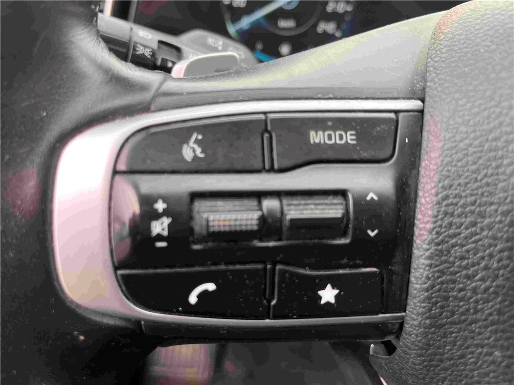 KIA SPORTAGE 1.6 CRDI 136CH MHEV DCT7 4X2 GT Line Premium Business