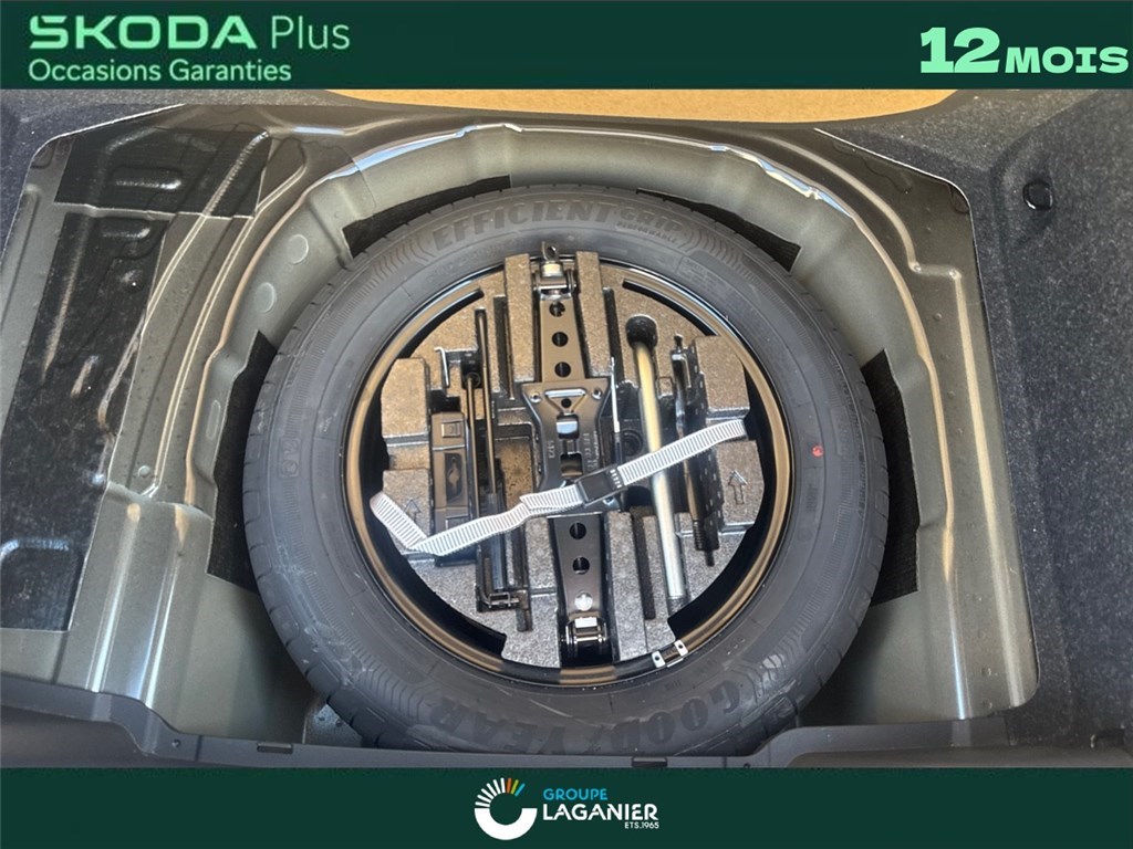 SKODA KAMIQ 1.5 TSI EVO 2 150 CH DSG7 ACT Monte Carlo