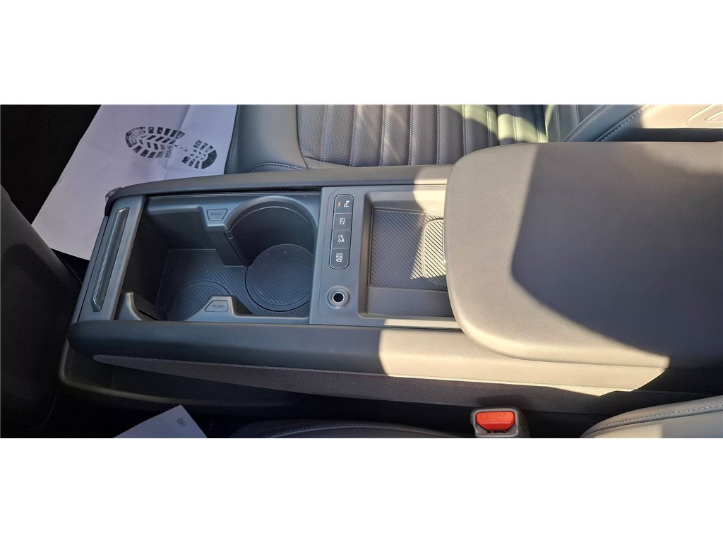 KIA EV9 204 CH Earth