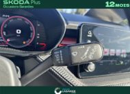 SKODA FABIA 1.5 TSI 150 CH EVO 2 DSG7 Monte-Carlo